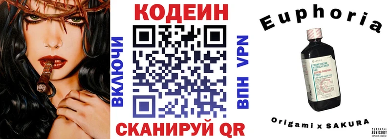 Кодеин напиток Lean (лин)  где купить наркотик  Циолковский 