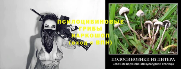 MESCALINE Алзамай