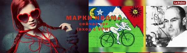 шишки Алексин