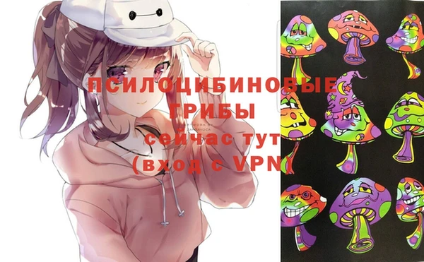 шишки Алексин
