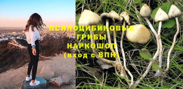 MESCALINE Алзамай