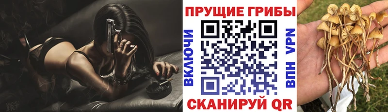 Галлюциногенные грибы Psilocybe Циолковский